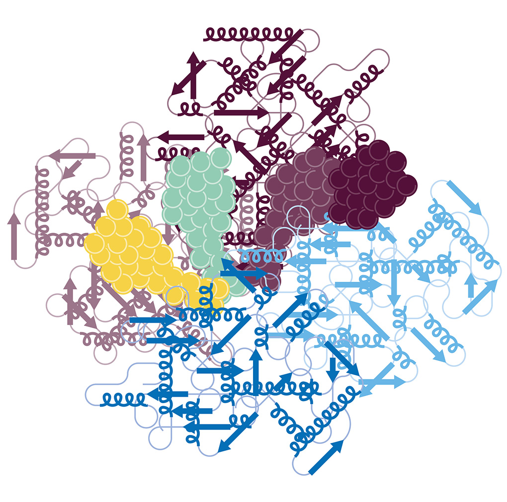 RESIZED_1020width x 1010 height_Protein_Graphic_v01 (4)