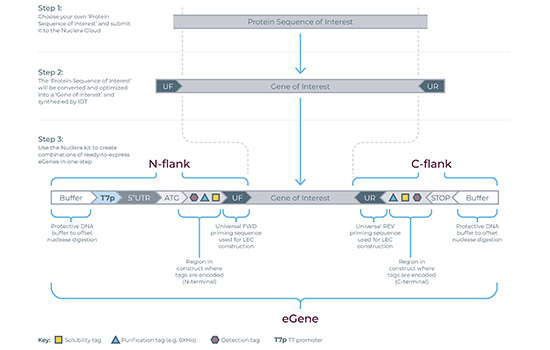 RESIZED_550Width x 350Height_Presentation_Diagrams-05 (4) (1)
